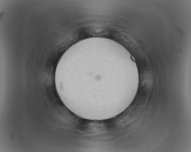 X0000111230515200907301249