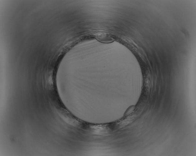 X0000111230516200907301249
