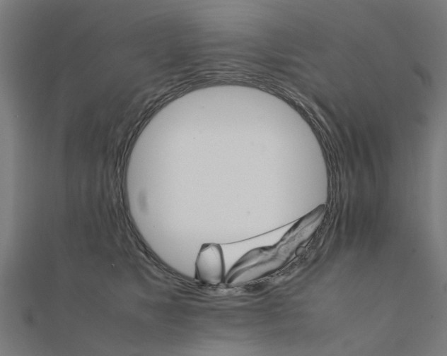 X0000111230517200907301248