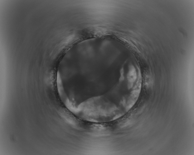 X0000111230519200907301248