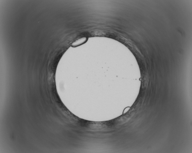 X0000111230521200907301248