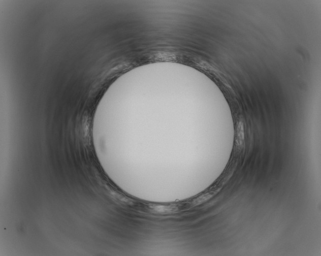 X0000111230522200907301248