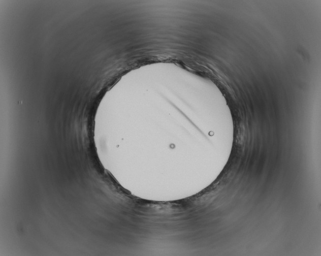 X0000111230524200907301248