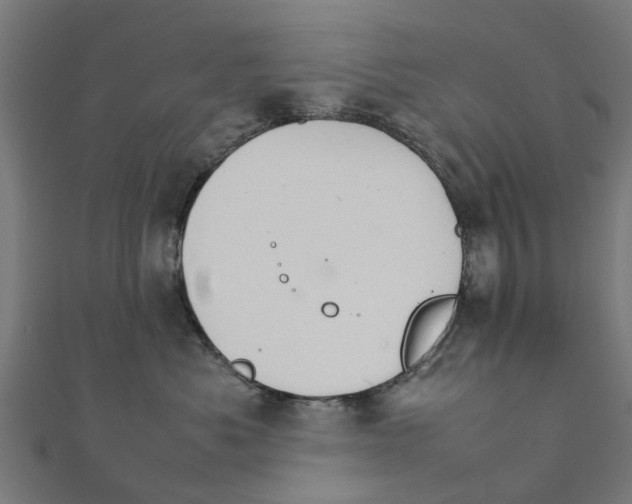 X0000111230525200907301248