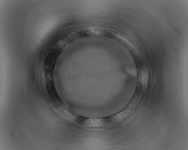 X0000111230526200907301248