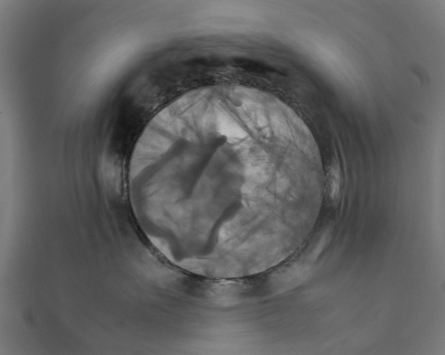 X0000111230527200907301248