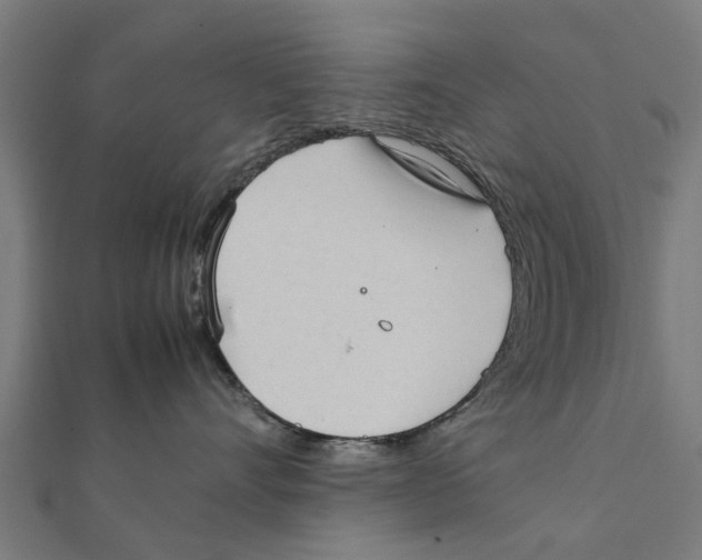 X0000111230528200907301248
