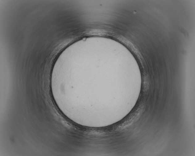 X0000111230529200907301248
