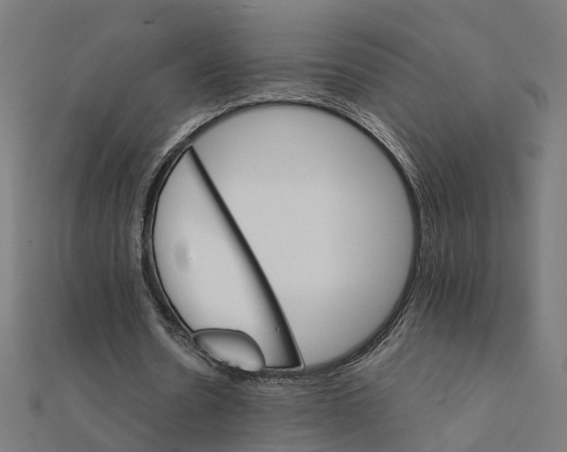 X0000111230530200907301248