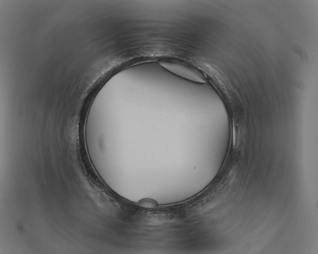 X0000111230531200907301248