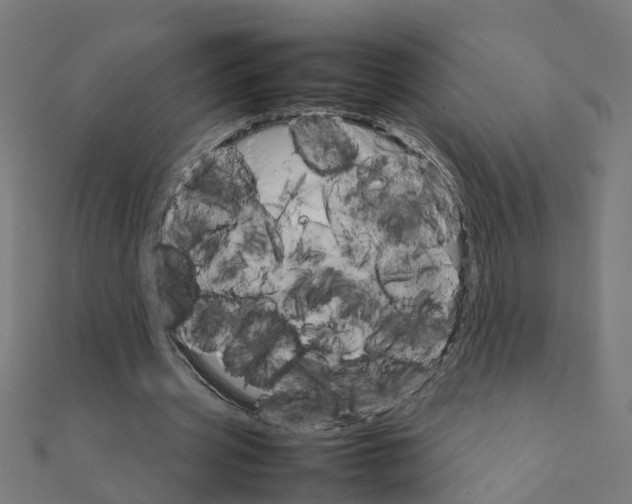 X0000111230533200907301248
