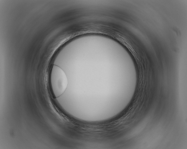 X0000111230534200907301248