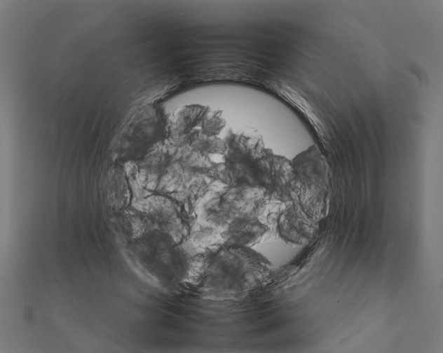 X0000111230537200907301248