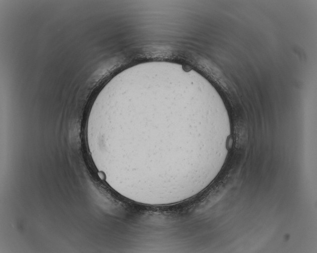 X0000111230538200907301248