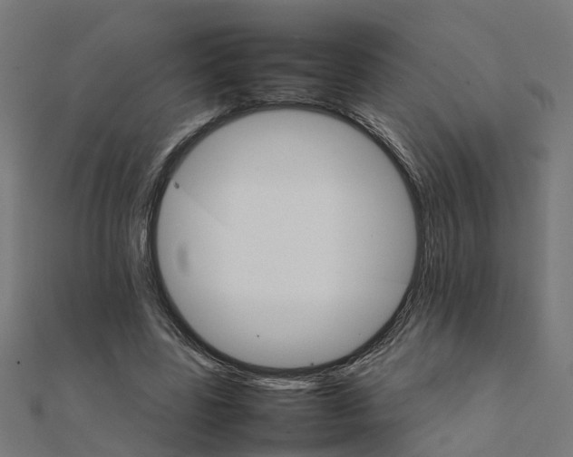 X0000111230539200907301248