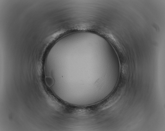 X0000111230540200907301248