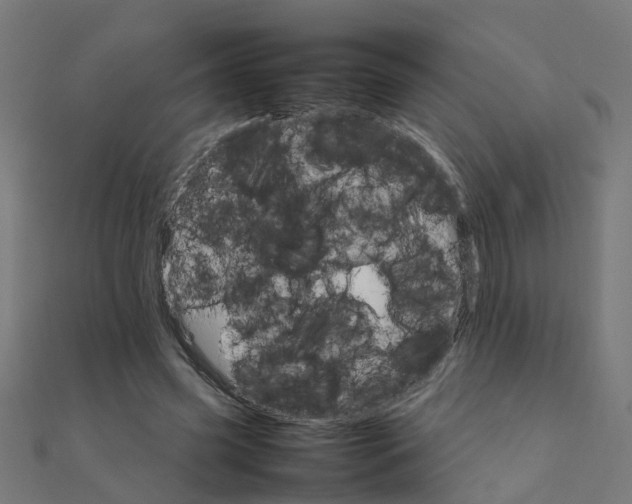 X0000111230541200907301248