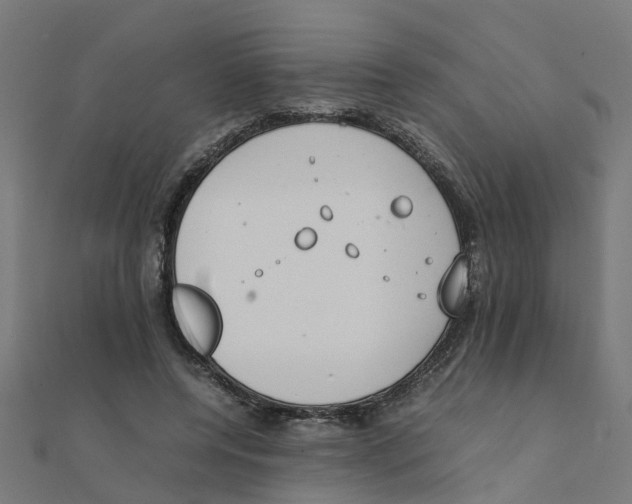 X0000111230544200907301248