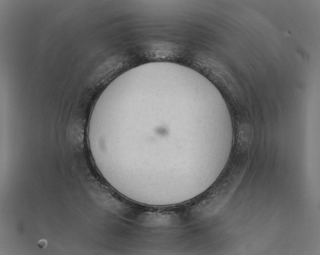 X0000111230545200907301248