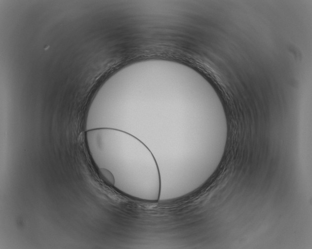 X0000111230546200907301248