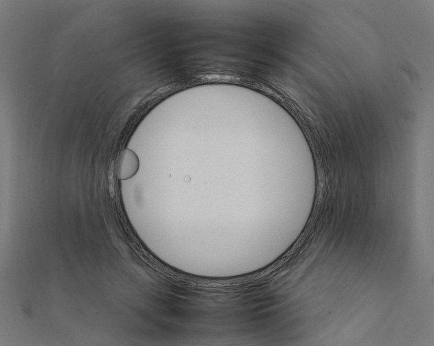 X0000111230547200907301248