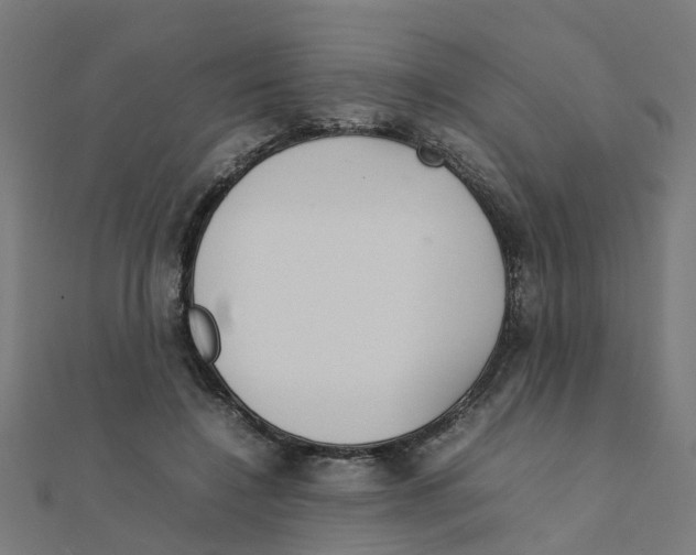 X0000111230548200907301248