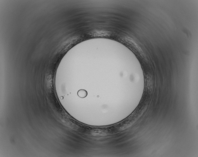 X0000111230549200907301248