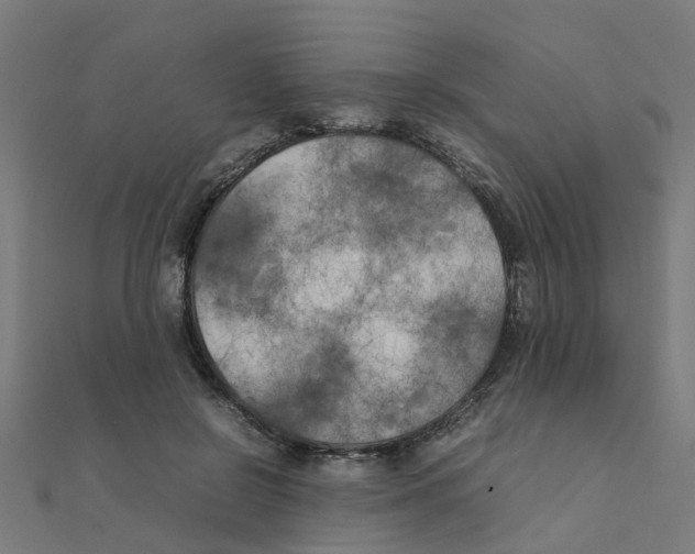 X0000111230550200907301248