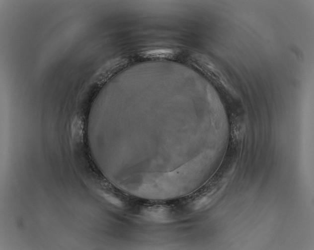 X0000111230551200907301248