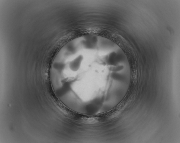 X0000111230553200907301248