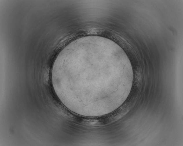 X0000111230554200907301248