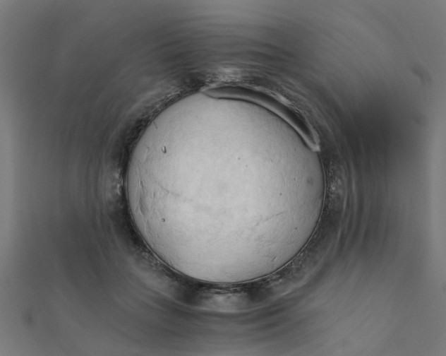 X0000111230555200907301248