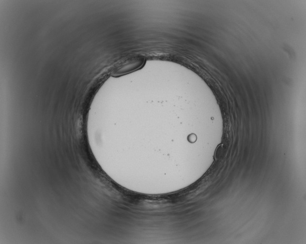 X0000111230556200907301248