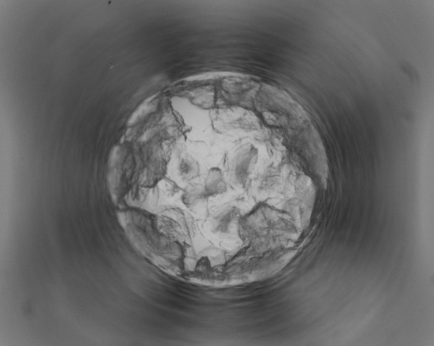 X0000111230557200907301248