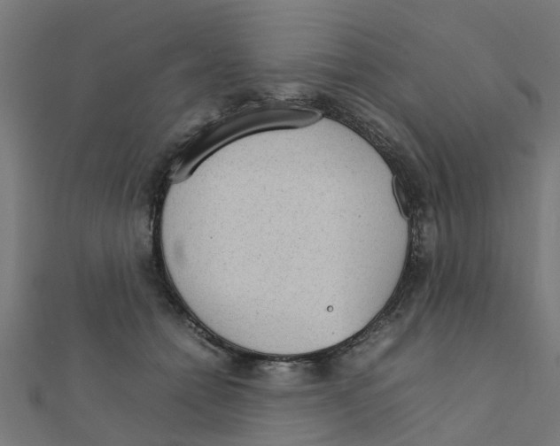 X0000111230558200907301248