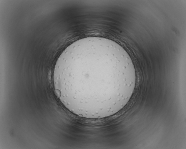 X0000111230559200907301248