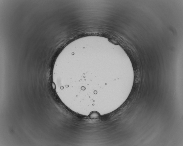 X0000111230560200907301248
