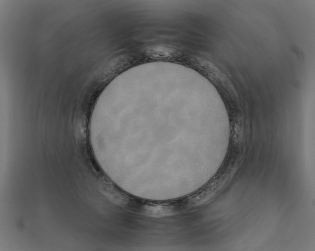 X0000111230561200907301248