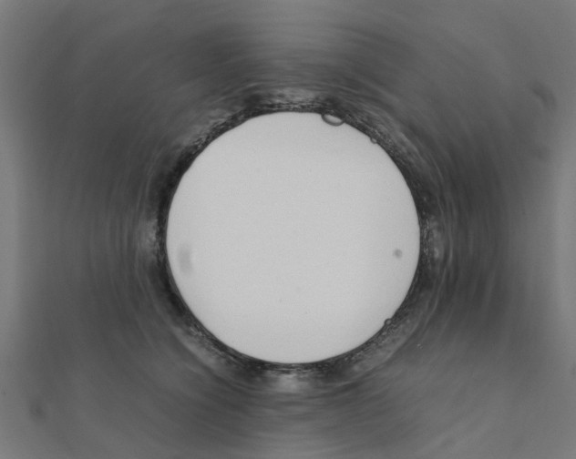 X0000111230564200907301248