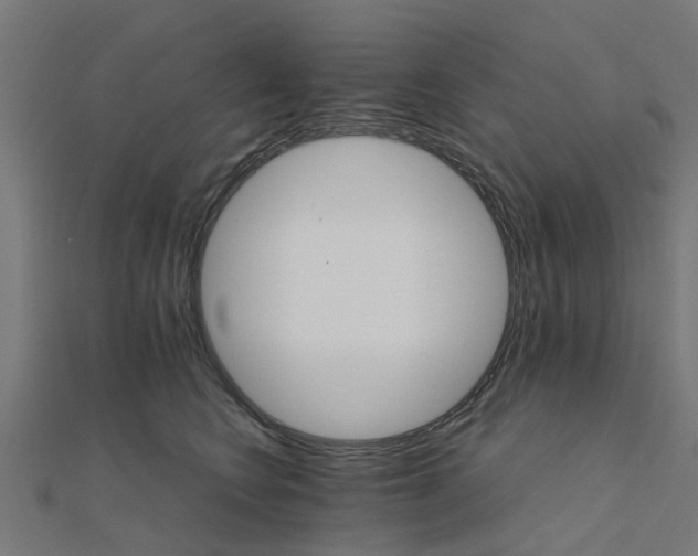 X0000111230566200907301248