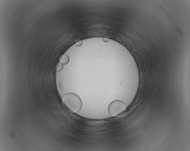 X0000111230567200907301248
