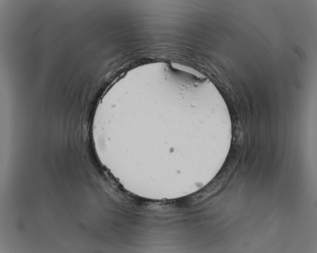 X0000111230568200907301248