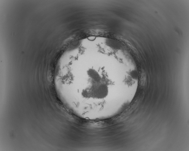X0000111230569200907301248