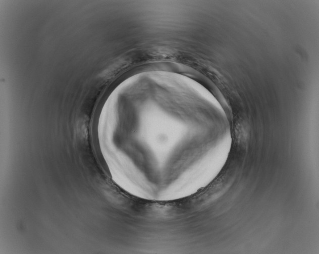 X0000111230570200907301248