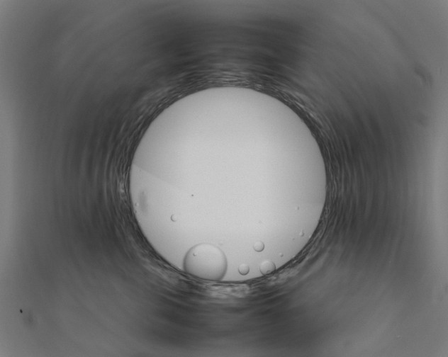 X0000111230571200907301248