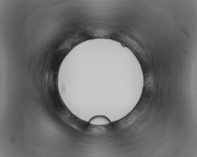 X0000111230572200907301248