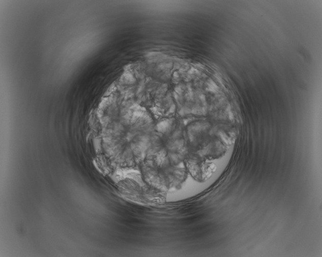 X0000111230573200907301248