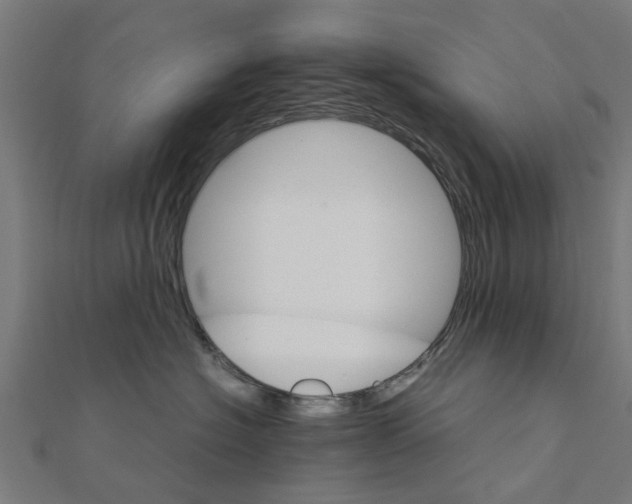 X0000111230574200907301248