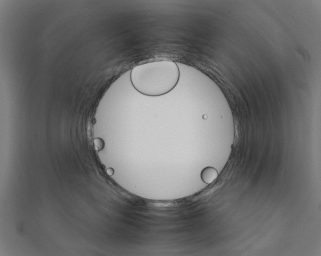 X0000111230575200907301248
