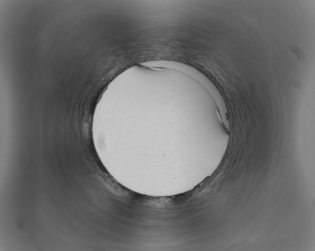 X0000111230576200907301248